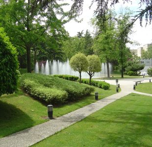 jardines-MT2.jpeg jardines-MT2.jpeg